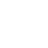 icon_adv2